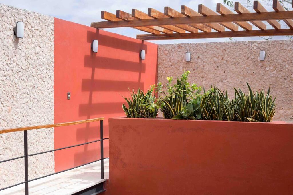 Casona Xtabay, En El Centro De Valladolid Villa Valladolid  Exterior foto
